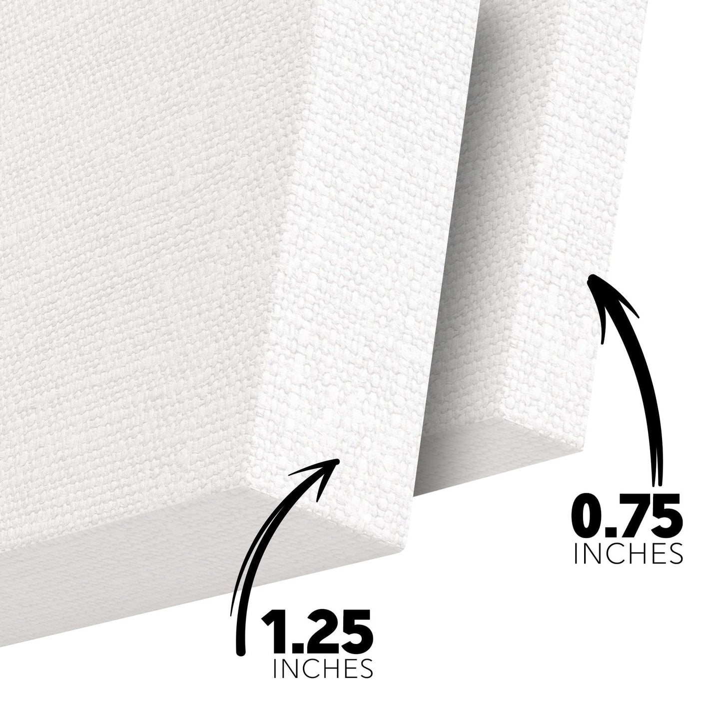 Don't Tread On Me Canvas