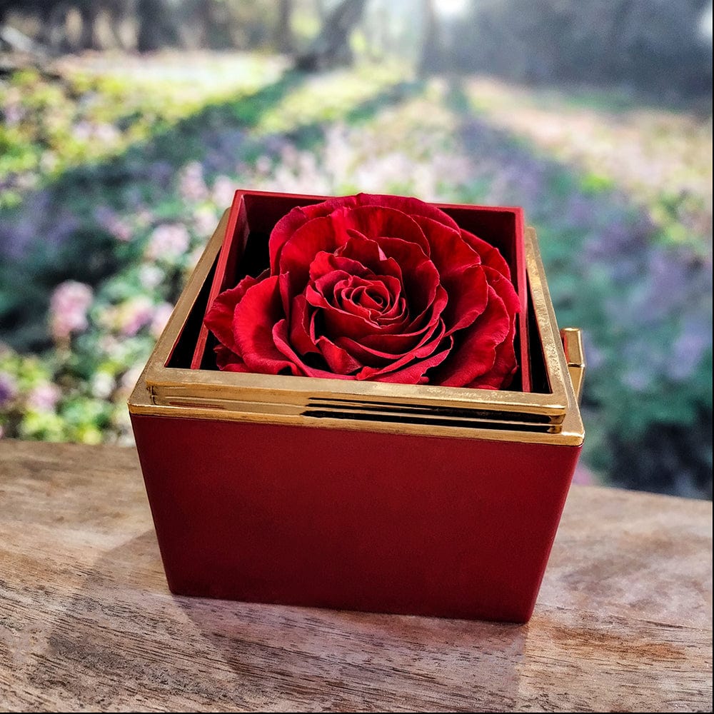 To My Beautiful Wife Love Knot Necklace with Rotating Rose Gift Box