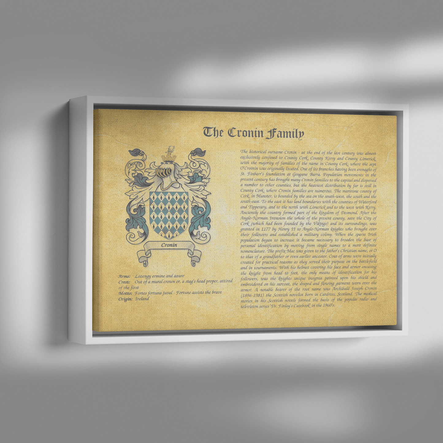 Family History and Coat of Arms Framed Canvas Print